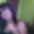 Photo de profil de Yasemin Kilic