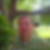 Photo de profil de Raphael Siri