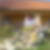 Photo de profil de Mauricette Cervo