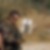 Photo de profil de David Raffetin