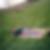 Photo de profil de Raymond Masson