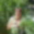 Photo de profil de Christine Dauthel