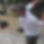 Photo de profil de Remy Bosserelle