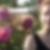 Photo de profil de Emilie Couraud