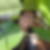 Photo de profil de Francine Goulette