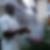 Photo de profil de Brice Atiogbe
