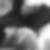 Photo de profil de Charles Potez