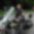 Photo de profil de Bernard Buchard