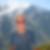 Photo de profil de Dominique Cappelo
