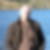 Photo de profil de Denis Rabugent