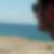Photo de profil de Simon Arnaud
