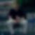 Photo de profil de Julien Fabing