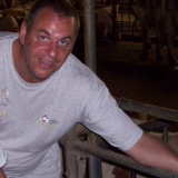 Photo de profil de Bernard Sené