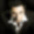Photo de profil de Sylvain Brottier
