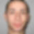 Photo de profil de Vincent Legoll
