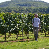 Photo de profil de Joël Bour