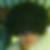 Photo de profil de Nans Rakotondrainibe