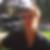 Photo de profil de Erick Strub
