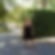 Photo de profil de Veronique Roma