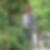 Photo de profil de Veronique Baret