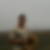 Photo de profil de Nadir Baghdad