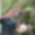 Photo de profil de Mickael Jaures