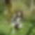 Photo de profil de Aline Orset
