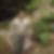 Photo de profil de Stephane Echelard