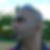 Photo de profil de Christophe Magloire
