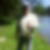 Photo de profil de Jean Louis Lobet