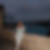 Photo de profil de Frédérique Le Breton
