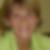 Photo de profil de Patricia Andrieu