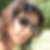 Photo de profil de Kheira Kassous