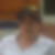 Photo de profil de Jouetre Sophie