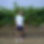 Photo de profil de Jerome Frassy