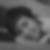 Photo de profil de Amelie Coutin