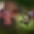 Photo de profil de Maryse Francois