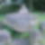 Photo de profil de Aime Dethorey
