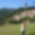 Photo de profil de Daniele Lvives