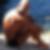 Photo de profil de Yazid Bouaffou