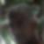 Photo de profil de Alain Hoarau