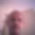 Photo de profil de Bruno Lemay