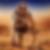 Photo de profil de Fred Chab