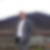 Photo de profil de David Surcin