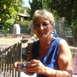 Photo de profil de Dominique Ancel