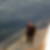 Photo de profil de Guy Servol