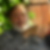 Photo de profil de Richard Bocci