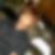 Photo de profil de Lyou Seng Ryel