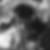 Photo de profil de Eisenstein Serguei