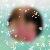 Photo de profil de Jonathan Viard